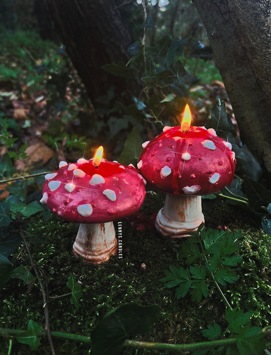 Mushroom Candle